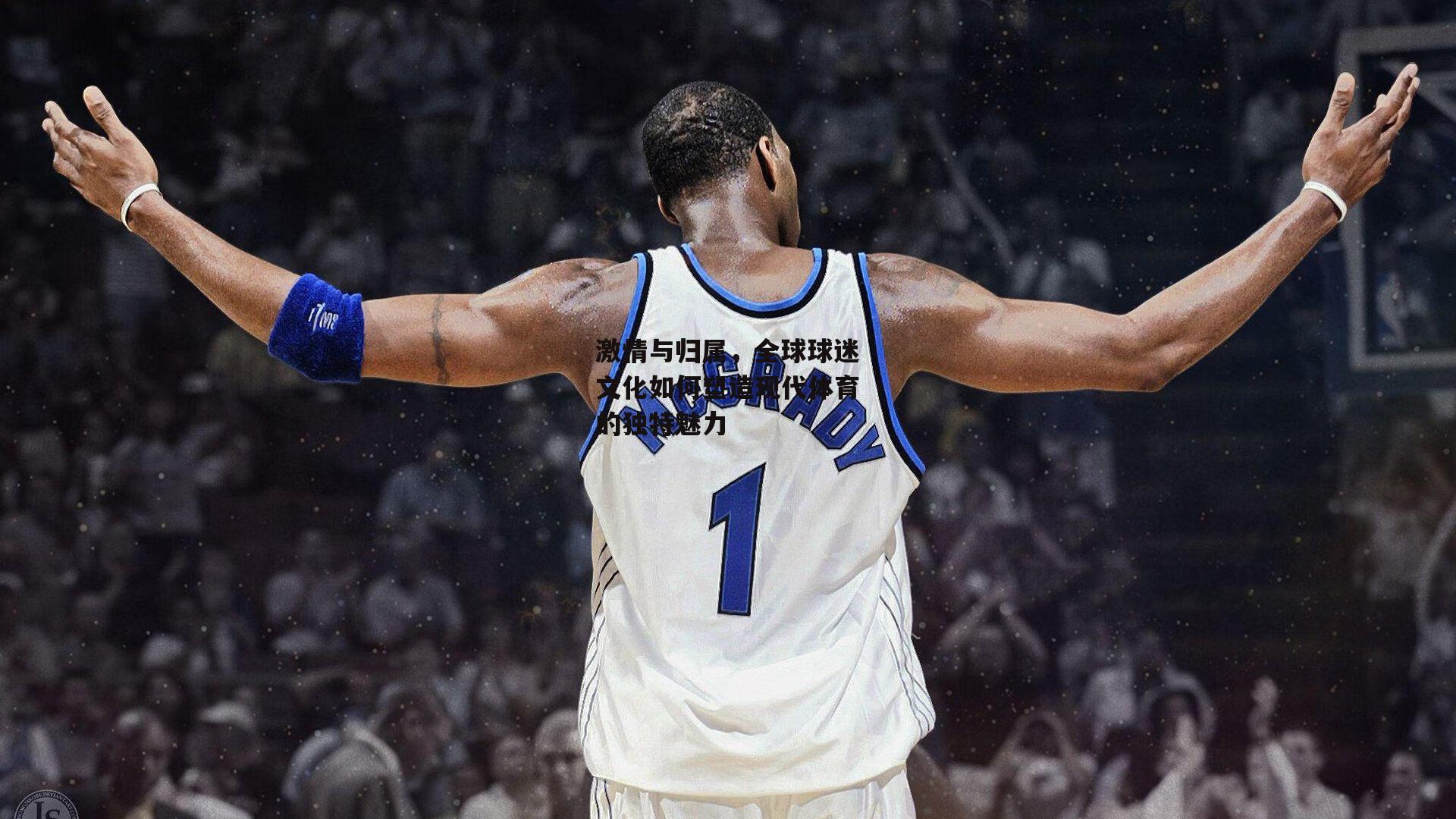 激情与归属,全球球迷文化如何塑造现代体育的独特魅力